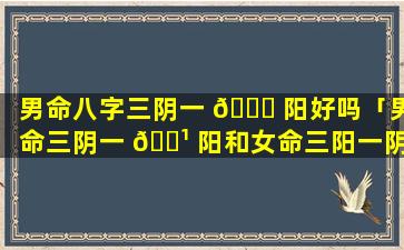 男命八字三阴一 🐒 阳好吗「男命三阴一 🌹 阳和女命三阳一阴 合吗」